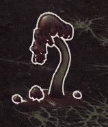 Splattershroom Image.jpg