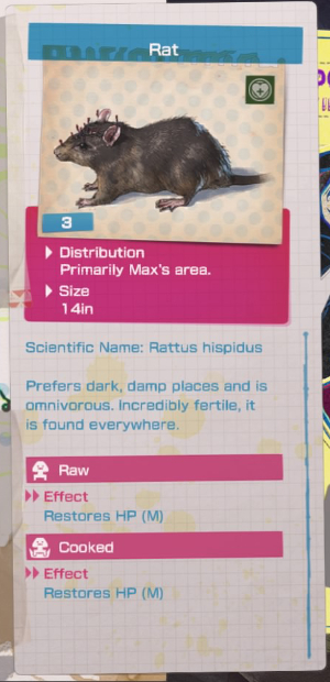 Rat Info.jpg