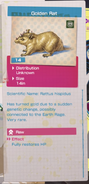 Golden Rat Info.jpg