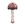 16 Brainshroom 1.png