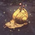 A live Golden Snail.