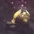 A live snail.