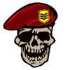 Decal-Drill Sergeant.png