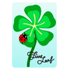 Decal-Five-leaf Clover.png