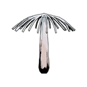 46 Umbrella Rib Fungus 1.png