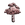 47 False Brainshroom 1.png