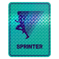 Decal-Sprinter P.png