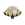 21 Stingshroom 1.png